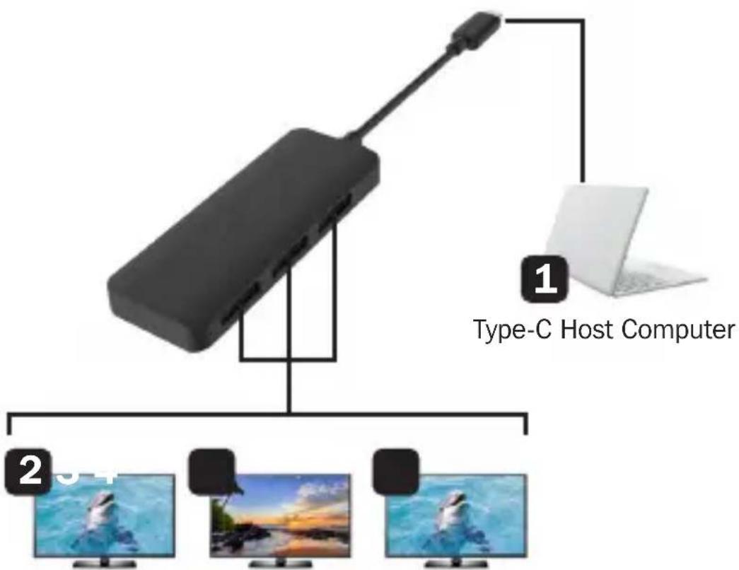 Tripp Lite U4443DPMST - Connection Diagram - 1