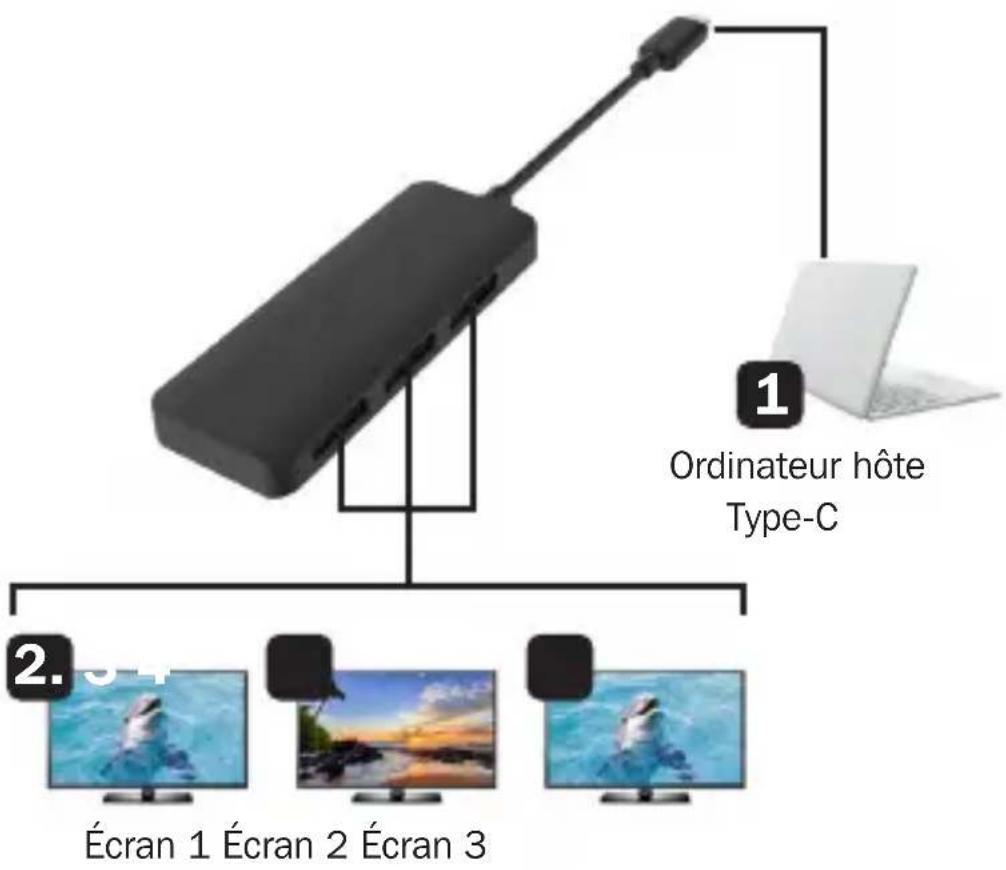 Tripp Lite U4443DPMST - Schéma de connexion - 1