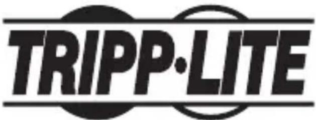 Tripp Lite P13406NDVIDL - Renseignements sur la conformité à la directive DEEE pour les clients de Tripp Lite et les recycleurs (Union européenne) - 2
