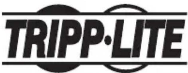 Tripp Lite P13406NDVIDL - Información de Cumplimiento con WEEE por los Clientes y Recicladores de Tripp Lite (Unión Europea) - 2
