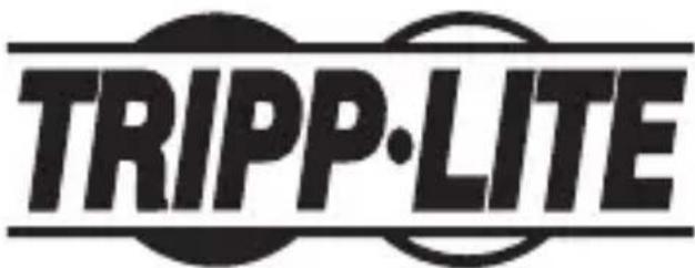 Tripp Lite P13406NDVIDL - Adaptateur actif à liaison double de DisplayPort™/ Mini DisplayPort à DVI-D - 1