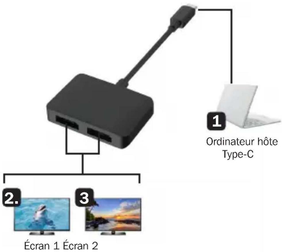 Tripp Lite U4442DPMST4K6 - Schéma de connexion - 1