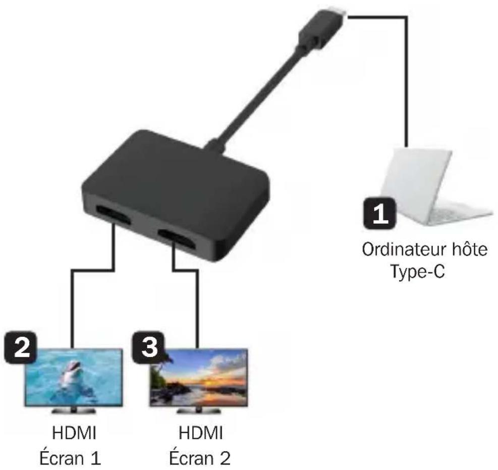Tripp Lite U4442HMST4K6 - Schéma de connexion - 1