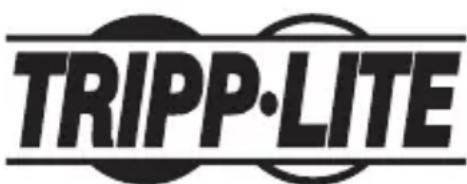 Tripp Lite U236000R - Información de Cumplimiento con WEEE para Clientes y Recicladores de Tripp Lite (Unión Europea) - 2