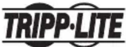Tripp Lite N785INTLCMM - WEEE Compliance Information for Tripp Lite Customers and Recyclers (European Union) - 2