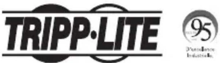 Tripp Lite N785INTLCMM - L'information de conformité WEEE pour les clients de tripp lite et recycleurs (union européenne) - 2