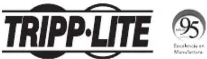 Tripp Lite N785INTLCMM - Información de Cumplimiento con WEEE para Clientes y Recicladores de Tripp Lite (Unión Europea) - 2