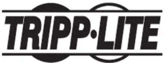Tripp Lite U336000GBCA - Información de Cumplimiento con WEEE para Clientes y Recicladores de Tripp Lite (Unión Europea) - 2