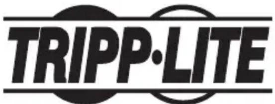 Tripp Lite U336000GBCA - Renseignements sur la conformité à la directive DEEE pour les clients de tripp lite et les recycleurs (union européenne) - 2