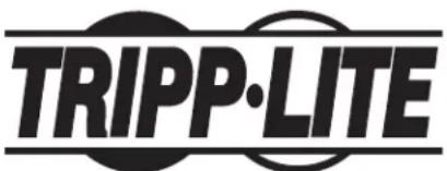 Tripp Lite DDV1732AM - Mantenimiento - 1