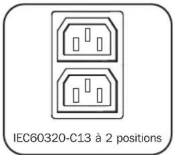 Tripp Lite PDUMV20HVNET2LX - Caractéristiques - 1