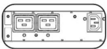 Tripp Lite PDUMV20HVNET2LX - 2-1 - 2