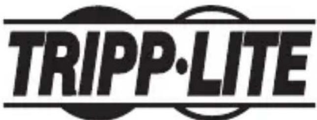 Tripp Lite P13706NDVIDL - Adaptateur actif à liaison double de DisplayPort™/ Mini DisplayPort à DVI-D - 1