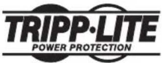 Tripp Lite RBC48VHGTWR - Bloc de batteries de rechange RBC48V-HGTWR - 1