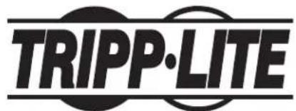 Tripp Lite DMPDS3255F - Gestion des câbles - 2