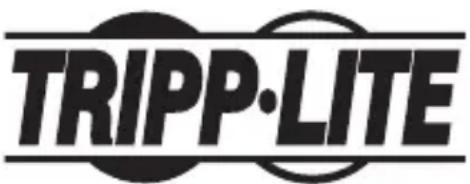 Tripp Lite B127A4X1BH - Renseignements sur la conformité à la directive DEEE pour les clients de Tripp Lite et les recycleurs (Union européenne) - 2