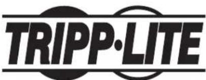 Tripp Lite DMPDT1732AM - Manual del Propietario - 6