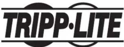 Tripp Lite DMPDS3255CF - 3 - 3