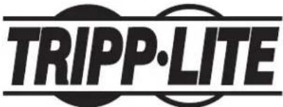 Tripp Lite SRLCDMOUNT - Mantenimiento - 1