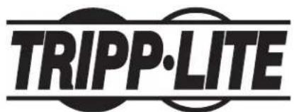 Tripp Lite SRLCDMOUNT - Soporte Fijo para Panel LCD para Racks de 483 mm (19 Pulg.) - 6