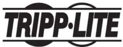 Tripp Lite SRLCDMOUNT - PROTECT YOUR INVESTMENT! - 3