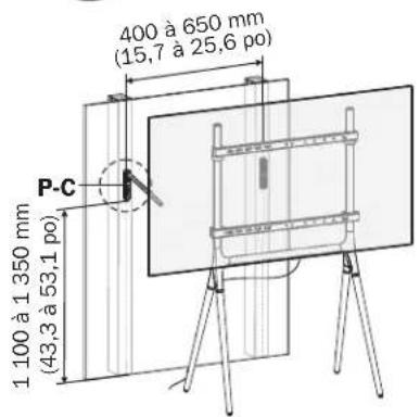 Tripp Lite DMPDS4970 - Fixer l'écran au support - 2