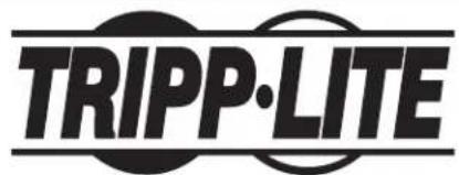 Tripp Lite DMPDS4970 - Kpenenne duocnpea K noctabke - 3