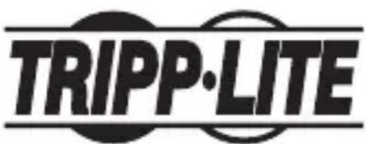 Tripp Lite U44406NHV4GUB - Información de Cumplimiento con WEEE para Clientes y Recicladores de Tripp Lite (Unión Europea) - 2