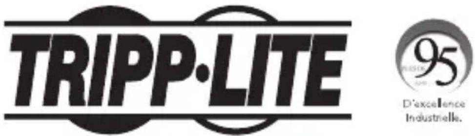 Tripp Lite B119002UHD - WEEE Compliance Information for Tripp Lite Customers and Recyclers (European Union) - 4