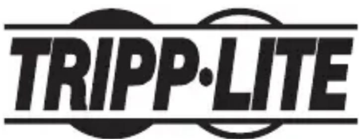 Tripp Lite B119002UHD - Información de Cumplimiento con WEEE para CLIENTES y Recicladores de Tripp Lite (Unión Europea) - 2