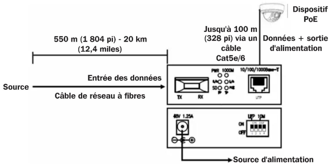 Tripp Lite N785INTPSFP - Remarques : - 1