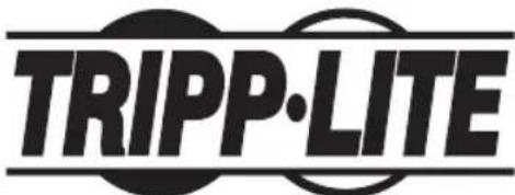 Tripp Lite DWF60100XX - Wartung - 1