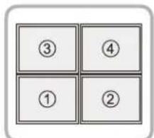 Tripp Lite DWMSCL4570VW - BbipabHbHaHne nucnpeB - 4