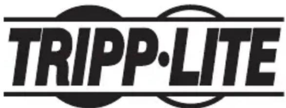Tripp Lite U442DOCK10S - HhphiMaNo BbInonHeHHIO Tpe6oBaHm DnpeKTHBb WEE EAn NokynaTee N nepepaOHTKOB npOdykun KOMNaHn Tripp Lite (AIBNIOxxCpe3nDentamn EBponeckoro co03a) - 2