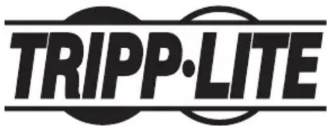 Tripp Lite U280Q01STPBK - Kabelloser 10-Watt- Schnellladeständer mit internationalem AC-Adapter, schwarz - 1
