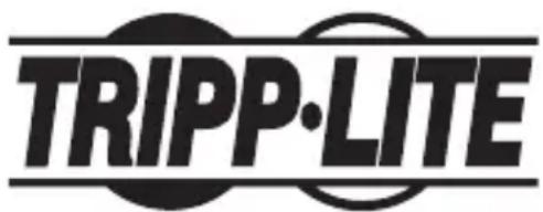 Tripp Lite U442DOCK12S - Renseignements sur la conformité à la directive DEEE pour les clients de Tripp Lite et les recycleurs (Union européenne) - 2