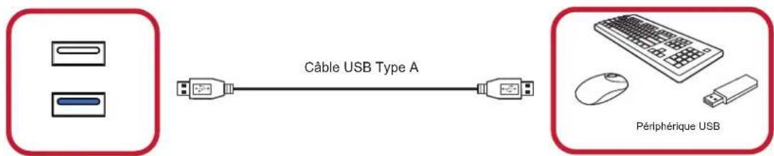 VIEWSONIC LD108121 - Usb(type a/type b) - 1