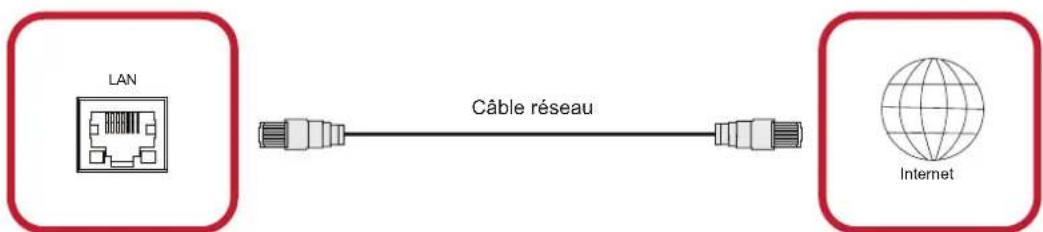 VIEWSONIC LD108121 - Cables réseau et modem - 1