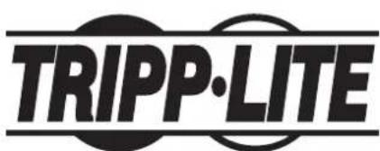 Tripp Lite S3M100KX - WEEE Compliance Information for Tripp Lite Customers and Recyclers (European Union) - 5