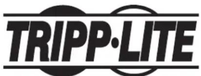 Tripp Lite PDUBHV201U - Renseignements sur la conformité à la directive DEEE pour les clients de tripp lite et les recycleurs (union européenne) - 3
