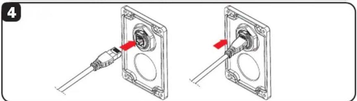 Tripp Lite N206WK01IND - Industrial Bulkhead Coupler Installation (N206-BC01-IND, U325-000-IND, P569-000-FF-IND and N455-BC01-IND) - 4