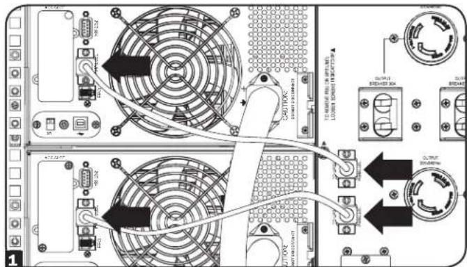 Tripp Lite SUPDMB20KIEC - Conexión paralela - 2