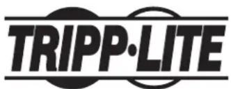 Tripp Lite SUPDMB20KIEC - L'information de conformité WEEE pour les clients de tripp lite et recycleurs (union européenne) - 2