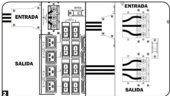 Tripp Lite SUPDMB20KIEC - Conexión - 2