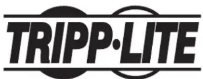 Tripp Lite SUPDMB20KIEC - Onduleur 16 et 20 kva smartonline® avec options de configuration n+1 - 1
