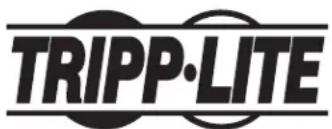 Tripp Lite SUPDMB20KIEC - Информация для клиентов компании Tripp Lite о соблюдении требований директивы EC об отходах электрического и электронного оборудования (WEEE) - 1
