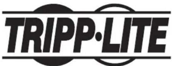 Tripp Lite BP480V100NIB - WEEE Compliance Information for Tripp Lite Customers and Recyclers (European Union) - 4