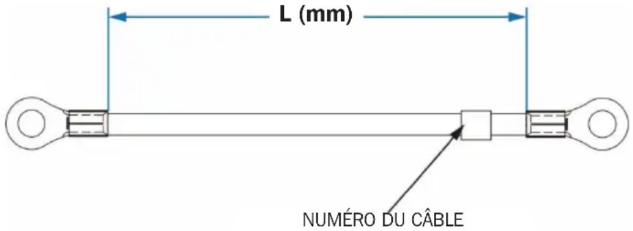 Tripp Lite BP480V100NIB - Caractéristiques techniques des câbles de dérivation fournis - 1