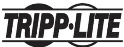 Tripp Lite SU10KMBPKX - Copepkannie - 1
