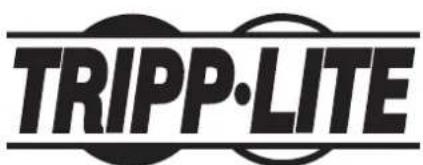 Tripp Lite S3M100KXD - WEEE-Compliance-Informationen for Tripp Lite-Kunden und Recycler (Europäische Union) - 1